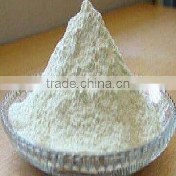 white onion powder