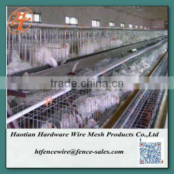 3 tier 120 capacity chicken layer cage for poultry in dubai