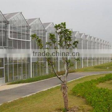 Good Daylighting and Fire Retardant Vegetables Greenhouse,commercial Greenhouse,fiberglass Greenhouse photo-4