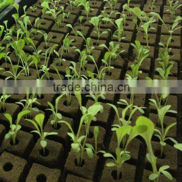 seedling bed sponge &application of floral foam in agriculture