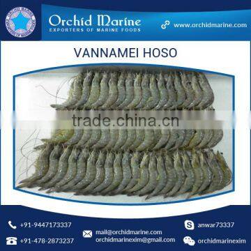 High Grade Hygienically Processed Frozen Vannamei Shrimps Price photo-5