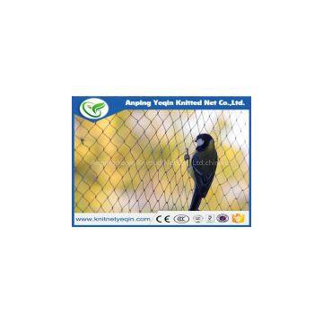 PE anti bird net for agriculture