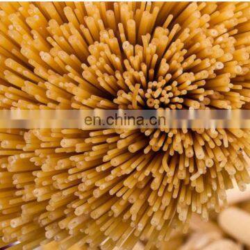 CE approved commercial pasta making machines macaroni pasta making machine