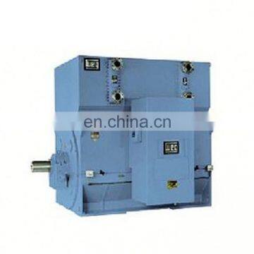 Yks 3kv 6kv 10kv High Voltage Three Phase Electric Motor 185-2000kw