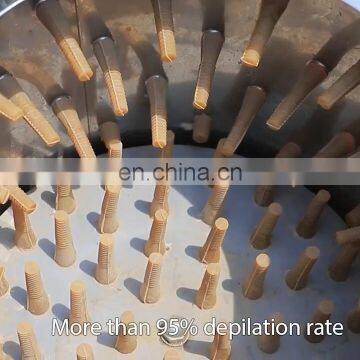 TM-50 Home Use chicken slaughter line slaughter house slaughtering tool for sale in Turkey