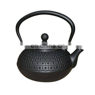 300ml Cast Iron Tea pot with Stainless Steel Filter/cast iron Teapot theiere fonte