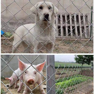 Hot-dip Galvanized Steel Wire Mesh, Animal Fence photo-2