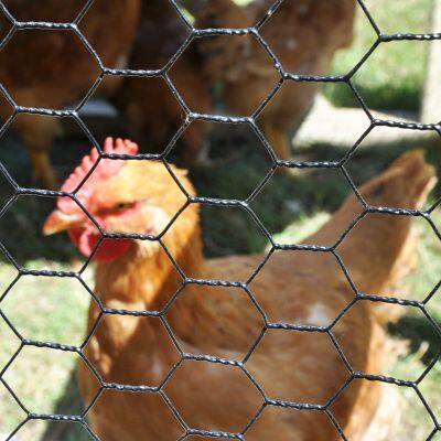Bird Screen Netting Chicken Wire Mesh Welded Wire Mesh Galvanized Wire Mesh Custom Malla Pvc Coated Plastic Hexagonal Iron Wire Mesh photo-4
