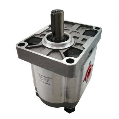 CBN 316 Gear Pumps Hydraulic Oil Pumps for Tractors Pressure CBN-E316 CBN-F316 photo-2