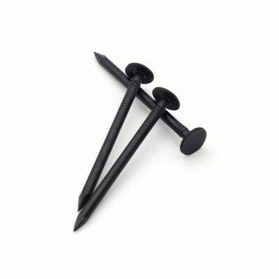 Black Common Nails China Supplier - Perfect for Concrete Formwork and Temporary Structures photo-5