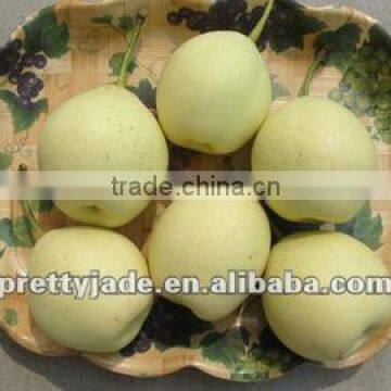 Chinese Ya Pear With Best Quality