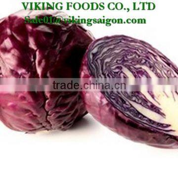 2016 *FRESH PURPLE CABBAGE* _ Good Quality from Vietnam