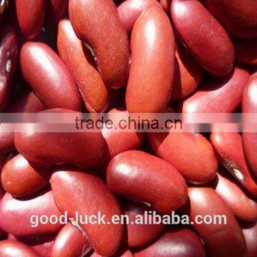 2015 crop high quality red kidney bean