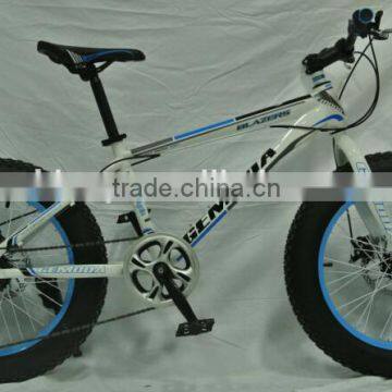 SH-S003 20*4.0 6-Speed Steel Fat Tire Bike Bicycle, Snow Bike