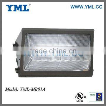 Induction Lamp Wall Packing Light