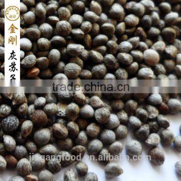 Perilla Seed for Sale photo-3