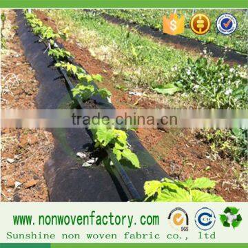 Weed Control Mat/nonwoven Fabric With UV Resistant/weed Suppressing Membrane photo-5