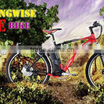 Elektro-Fahrrad for Europe electric biycle mountain e bike with 36V 10A lithium battery