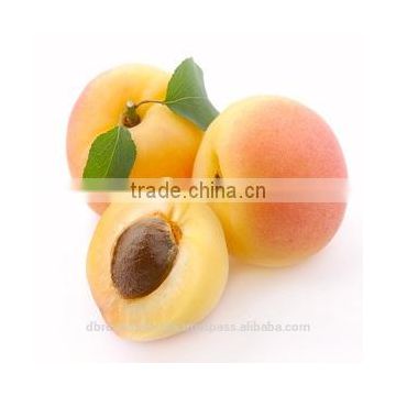 Apricot Kernel Oil from India