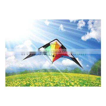 Dual Line Delta Stunt Kites - Curved Edge Kites