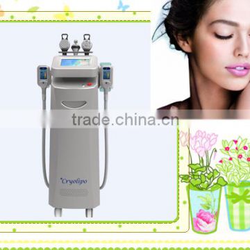 Salon Lose Weight Slimming Instruments/cryolipolysis Weight Weight Loss Reducing Machine /weight Measuring Machine Lose Weight