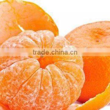 New Year 2017 Special Offer - Fresh Waxed Mandarin from Pakistan