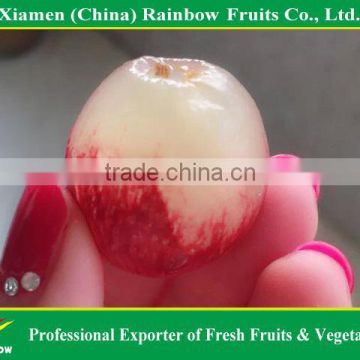 Fresh sweet red globe table grape from China