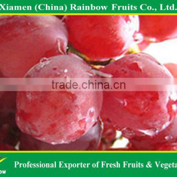 Fresh fruit of Chinese Fresh Red Globe Grape