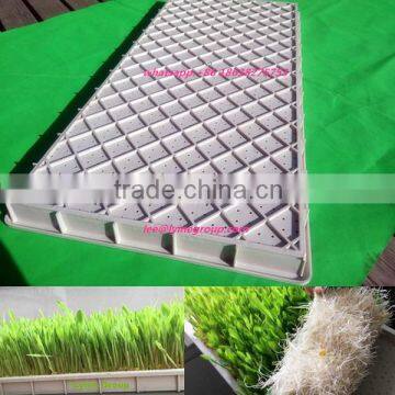 Good price new style plastic propagation nursery tray