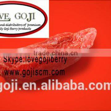 GOJI BEST PRICE ----www.gojiscm.com