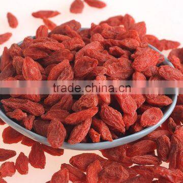 Import Organic 280 Goji Berry