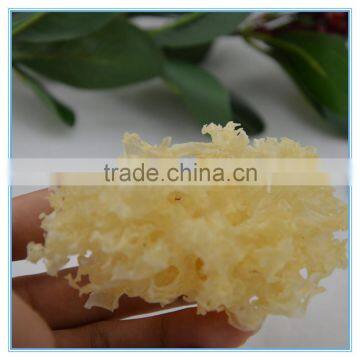 Silver Ear Mushroom Yin Er photo-5