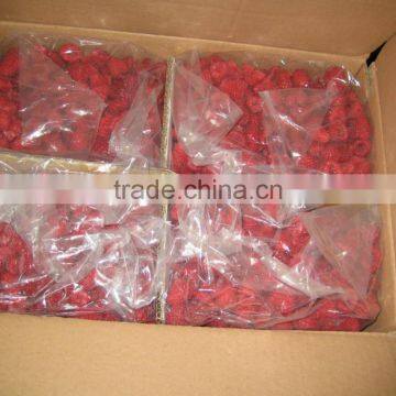 IQF Frozen Raspberry Whole With 5% Broken photo-2