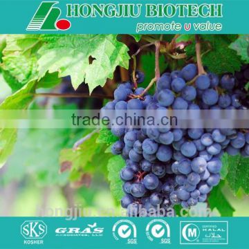 Organic Grape Seed Extract/Grape Seed Extract Powder