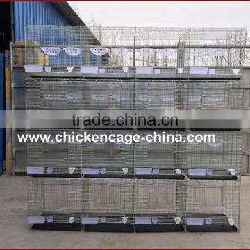 Cheap Pigeon Cage/Pigeon Breeding Cage/Design Pigeon Cage photo-5