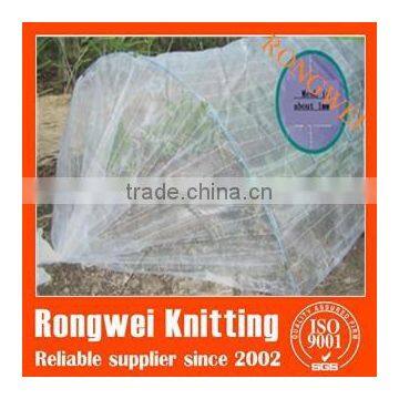 anti-bird net/agriculture net/Plastic Mesh/Grass Protection Plastic Mesh