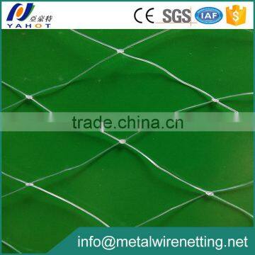 White PP Woven Anti-bird Net