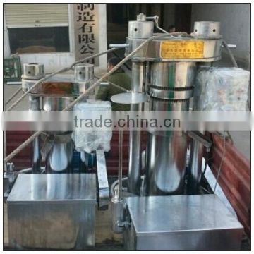 Competitive price small hydraulic pine nuts oil squeezer(0086-13613714234)