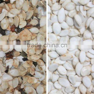 China Manufacture Automatic Agricultural Seed Color Sorter Machine With Competitive Price photo-3