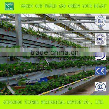 Multispan Plastic Film Greenhouse for Tomato Cucuber Flower Horticulture photo-2