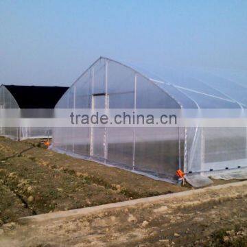 Single-Span Hot-Dip Galvanized Steel Pipe Frame 200mm PVC Film Covered Greenhouse photo-4
