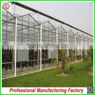 Hot Sale Multi-span Glass Agricultural Greenhouse for Garden photo-3