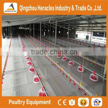 Modern Efficient Poultry Feeders Drinkers /broiler Equipment for Broiler Chicken