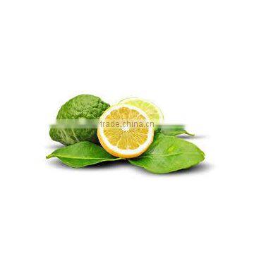 Bergamot Oil photo-3