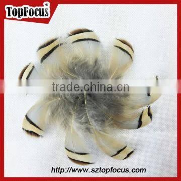 Wholesale Down Pheasant Partridge Plumage Natural Pheasant Feathers Prices photo-4