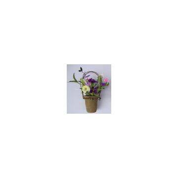 Potted Mixed Floral photo-3