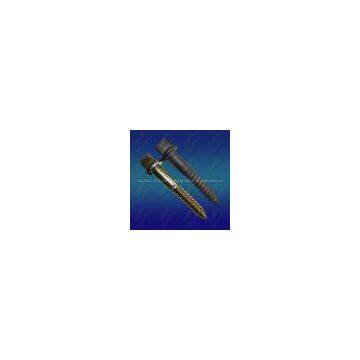 Pointed tail screw spike 24X165