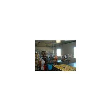 Class 100000 Industrial Clean Room for Food Laboratory , High Purification Level