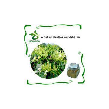 Honeysuckle Chlorogenic Acid
