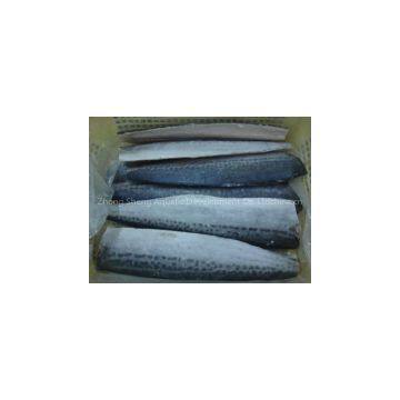 supply spanish mackerel fillets